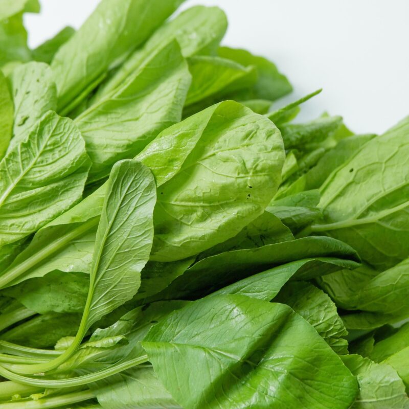 vegetables, nature, spinach, leafy greens, plant, organic, healthy