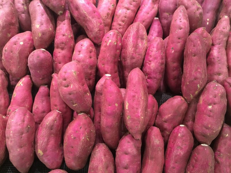 sweet potato, red-purple, pile, fruit, seiyu, ribin, supermarket, fruits and vegetables, sales floor, heiseicho, yokosuka, japan, sweet potato, sweet potato, sweet potato, sweet potato, sweet potato