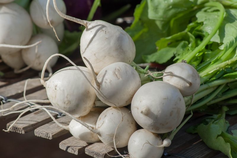 vegetables, turnips, soup